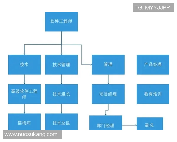 提升数据分析能力的个人表现与职业发展路径探讨