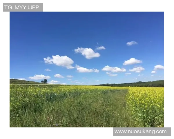 陈强在S15电竞总决赛中的英雄联盟旅程与人生启示深度探讨