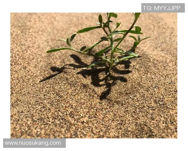 深度探讨李敏在DOTA2世界中的成长与挑战之旅